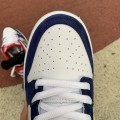 Dunk Low Pro Ishod Wair QS