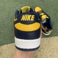 Dunk Low Michigan 2021