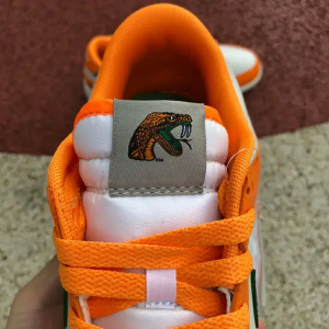 FLORIDA AM UNIVERSITY X DUNK LOW RATTLERS