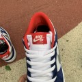 Dunk Low Pro Ishod Wair QS