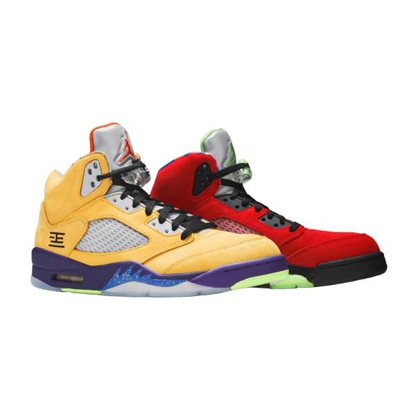 Jordan 5 Retro SE What The