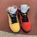 Jordan 5 Retro SE What The