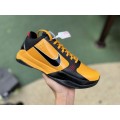 Zoom Kobe 5 Protro ’Bruce Lee’