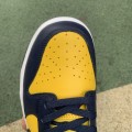 Dunk Low Michigan 2021