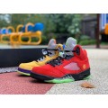 Jordan 5 Retro SE What The