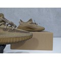 Yeezy Boost 350 V2 Earth