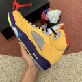 Jordan 5 Retro SE What The