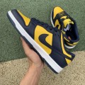 Dunk Low Michigan 2021