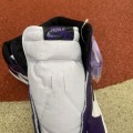 Jordan 1 Retro High OG Court Purple 2.0