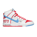 Ishod Wair x Magnus Walker x Dunk High Pro SB Urban Outlaw