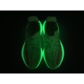 Yeezy Boost 350 V2 GID Glow