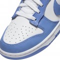 Nike Dunk Low Polar